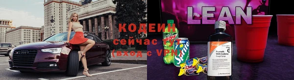 прущие грибы Бородино