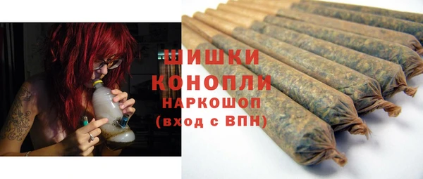 прущие грибы Бородино