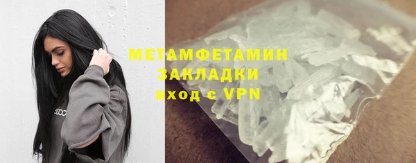 прущие грибы Бородино
