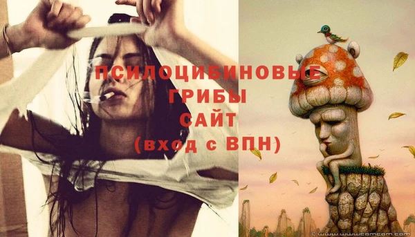 мяу мяу мука Верея