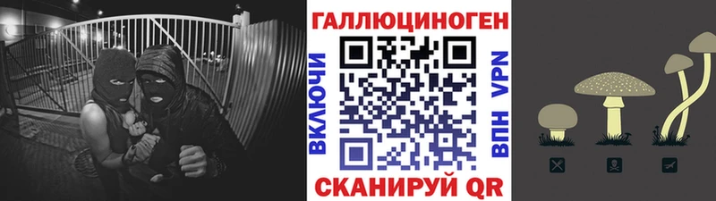 дарнет шоп  Грайворон  Псилоцибиновые грибы прущие грибы 