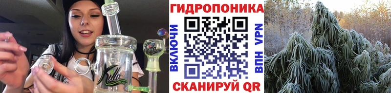 Канабис план Грайворон